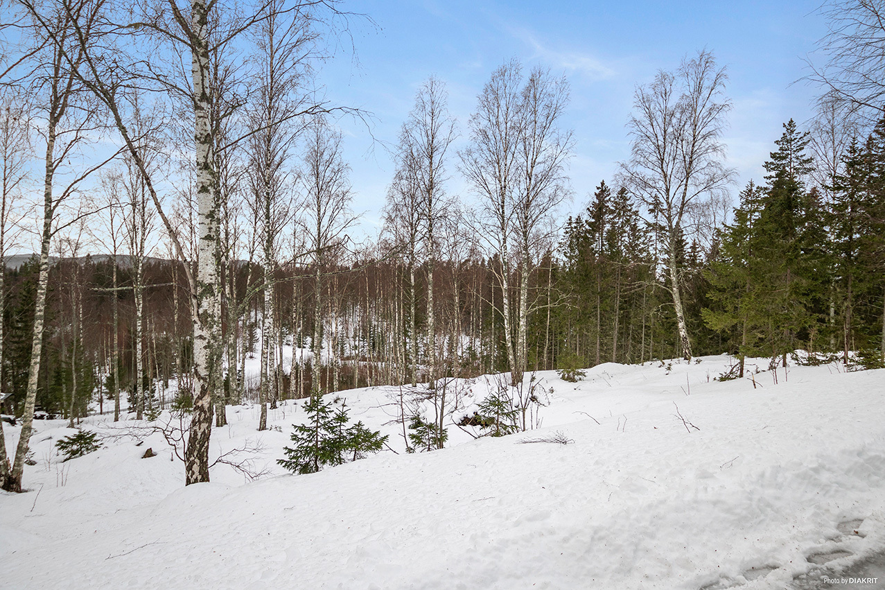 ÅDAL 9:37 – bild 5