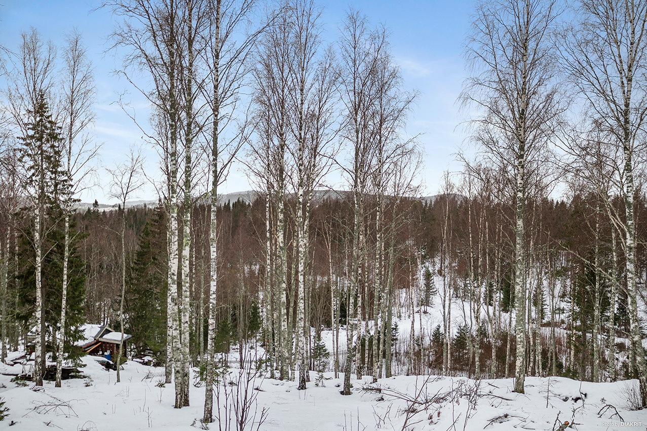 ÅDAL 9:37 – bild 3