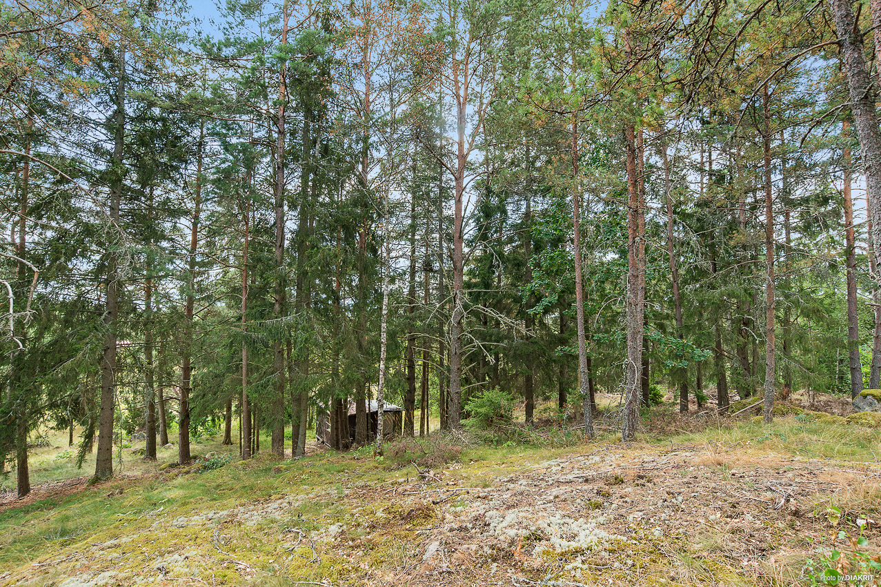 Hamre 225 – bild 3