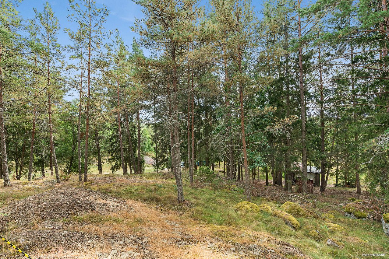 Hamre 225 – bild 6