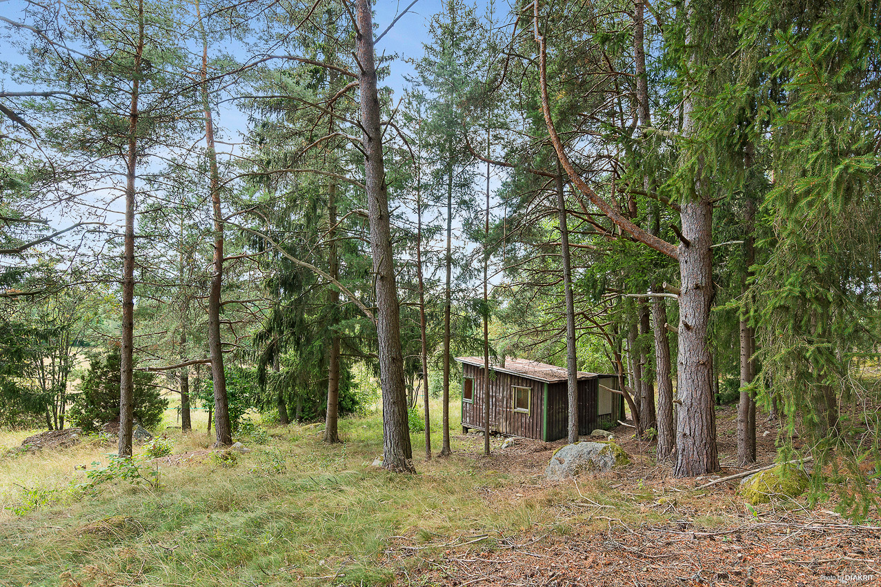 Hamre 225 – bild 7
