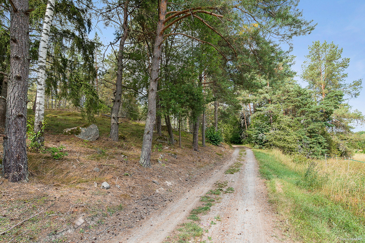Hamre 225 – bild 5