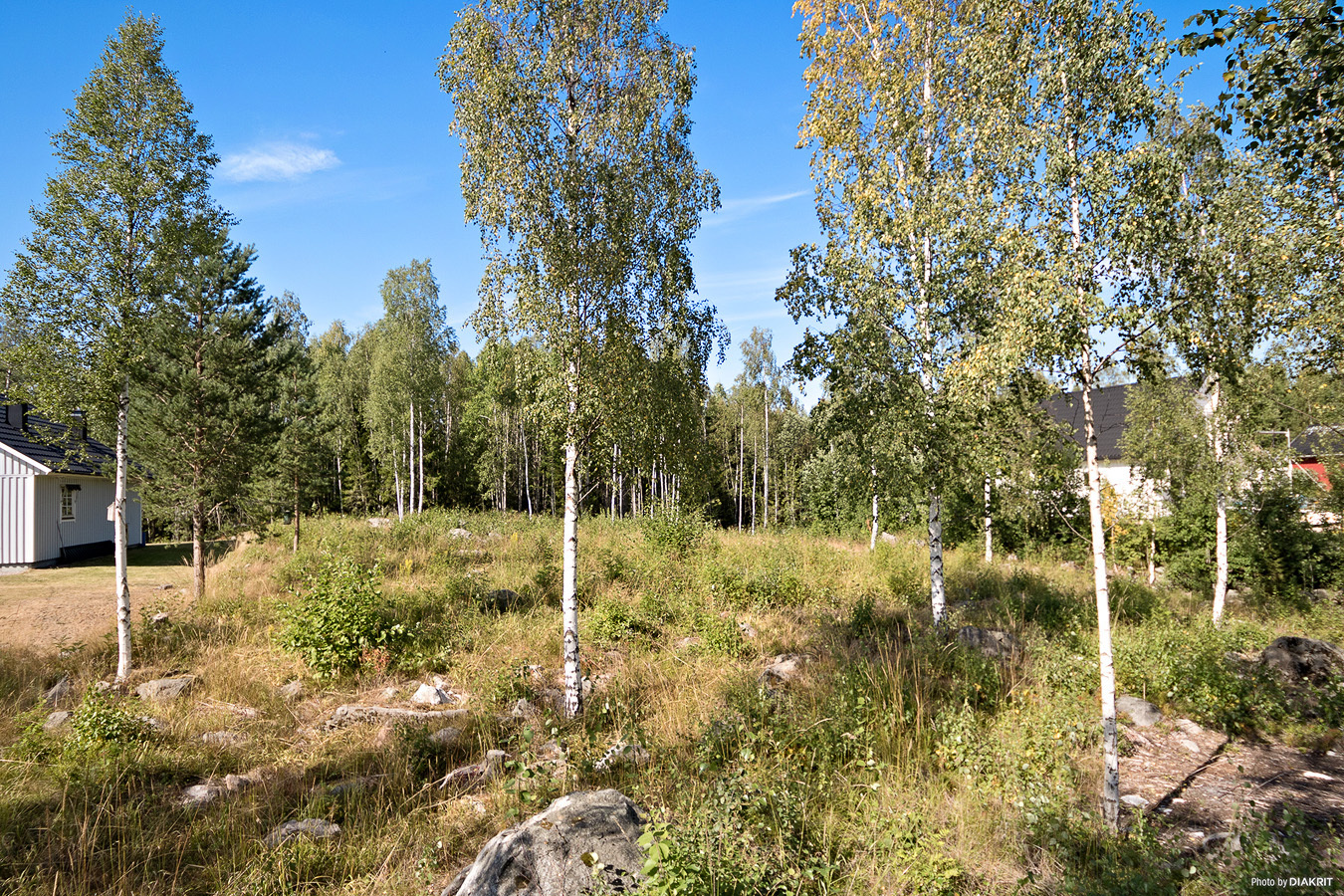 Pråmviken – bild 3