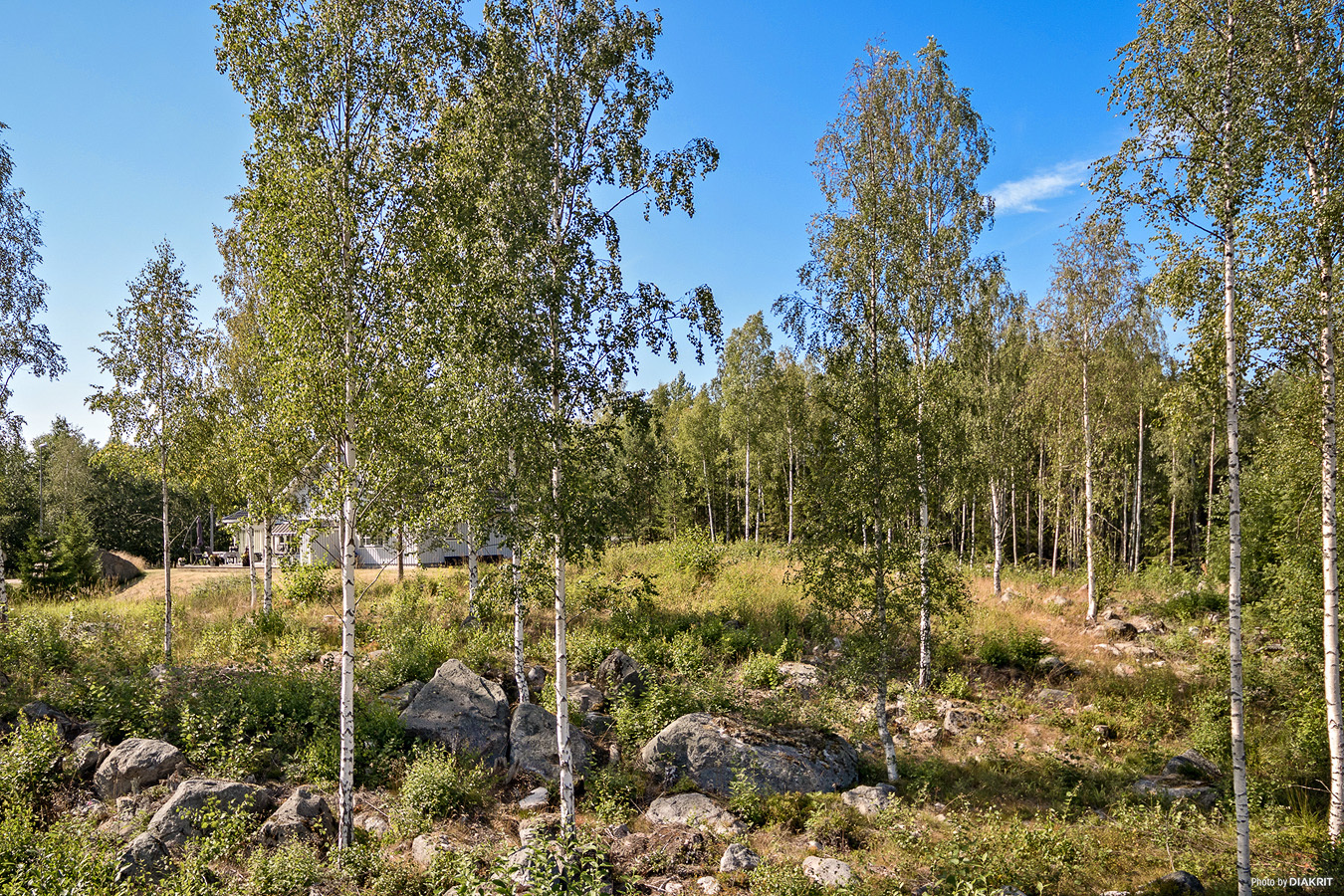 Pråmviken – bild 4