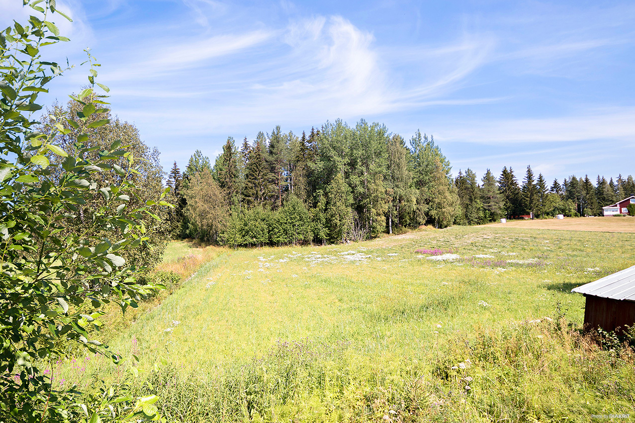 Grössjö 120 – bild 7