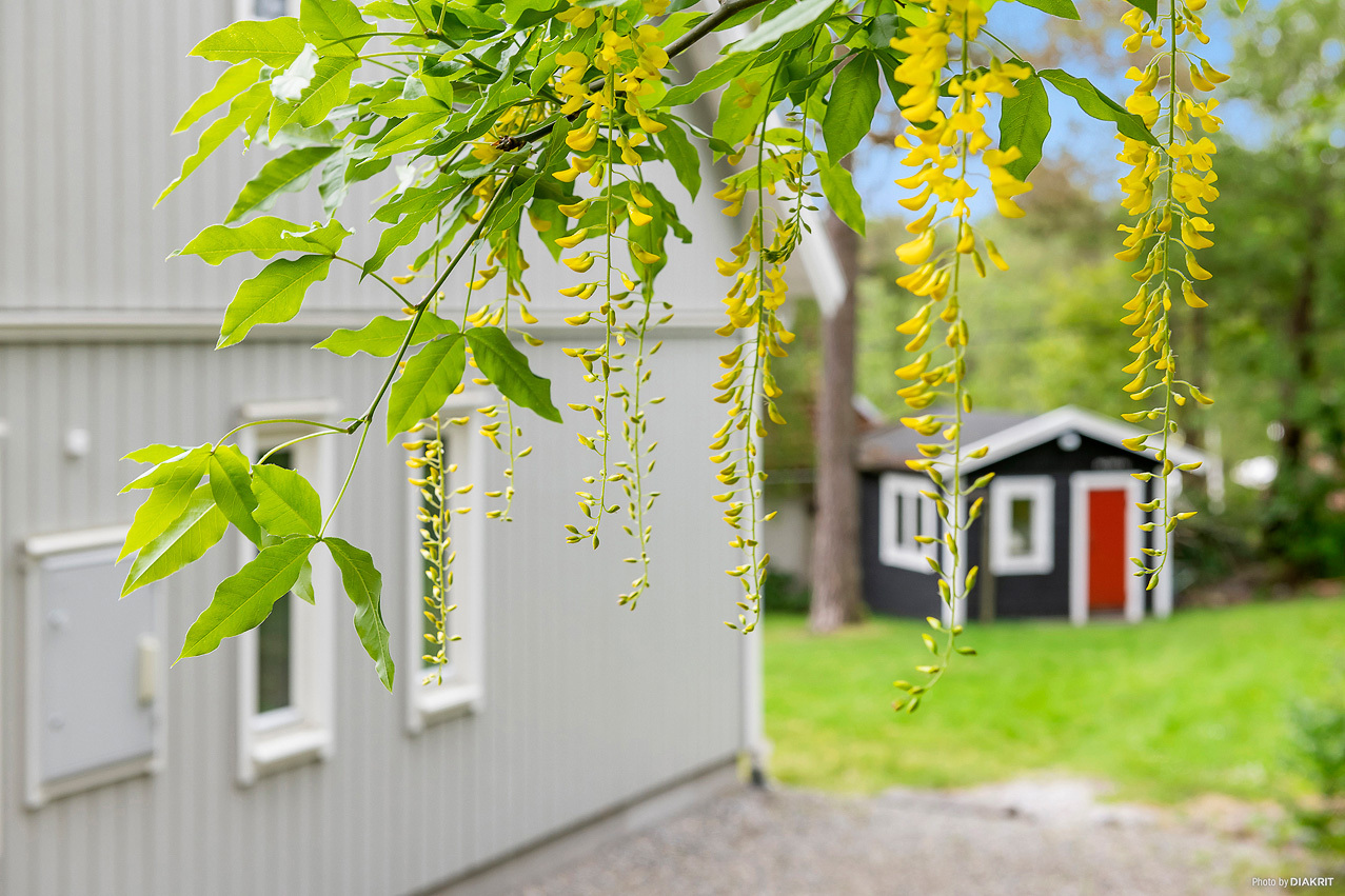 Iglabacken 1 – bild 8