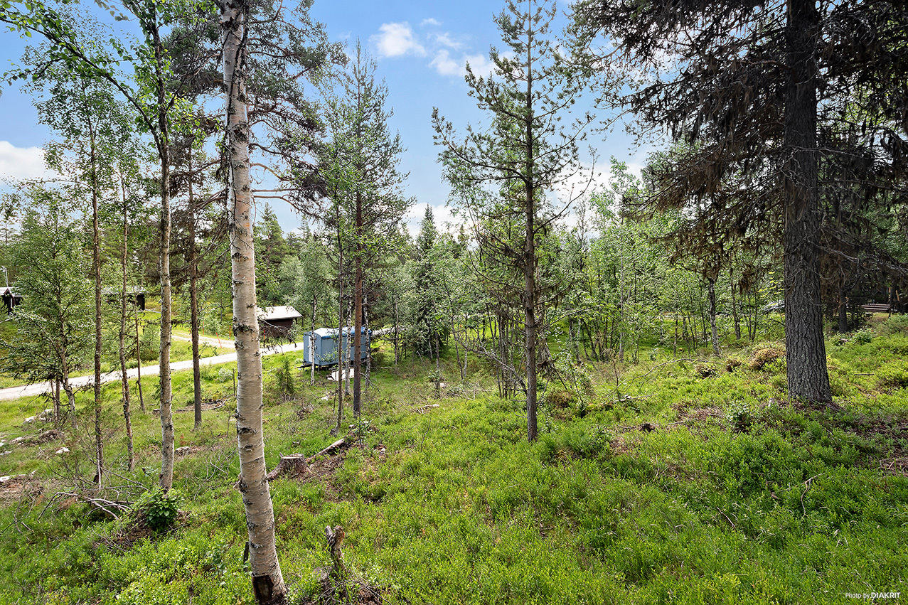 Risåsen 131 – bild 6