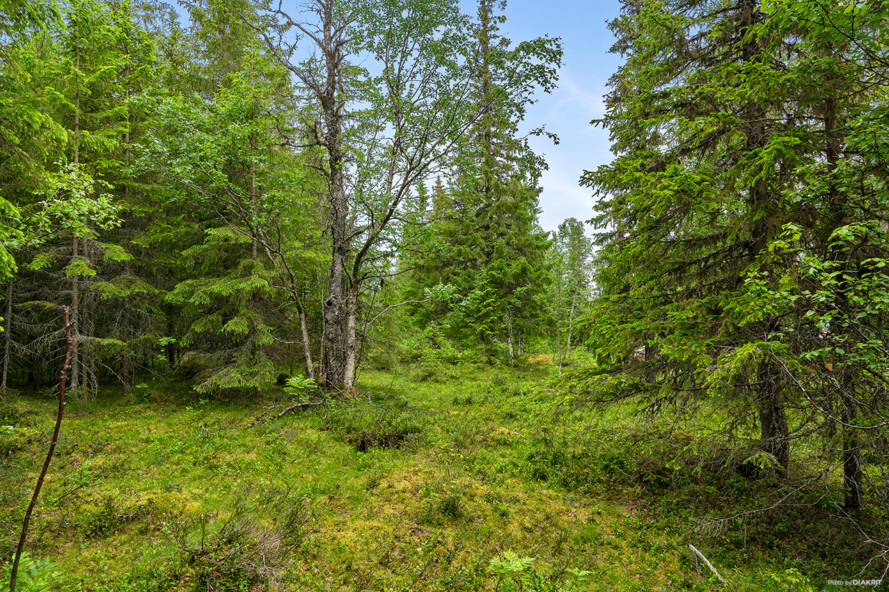 ARVESUND 2:146 – bild 3