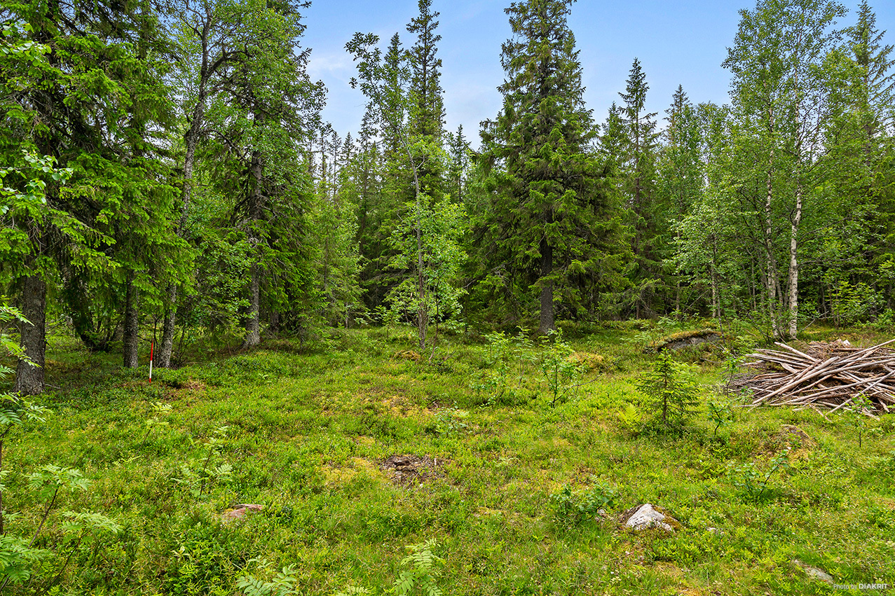 ARVESUND 2:146 – bild 5