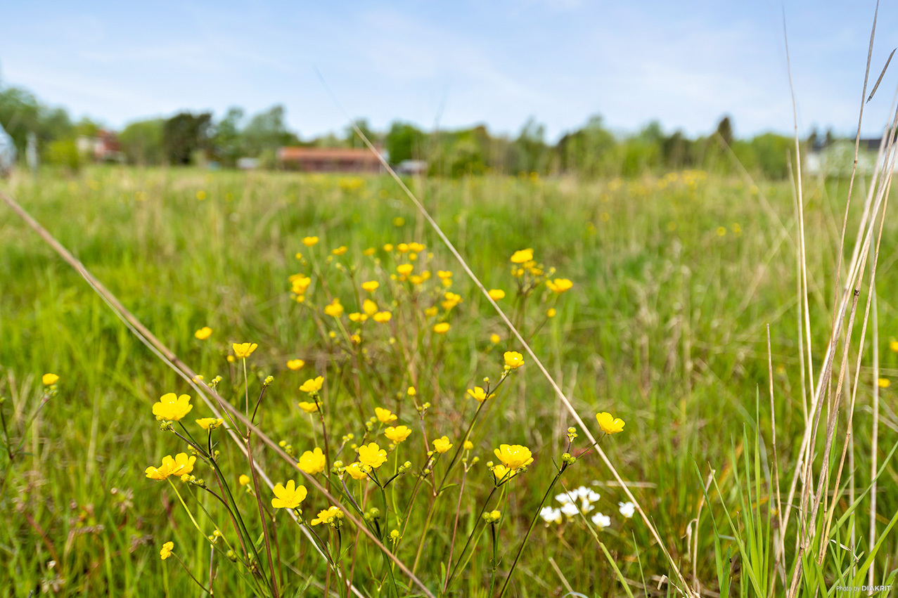 Edmunds Väg 5 – bild 4