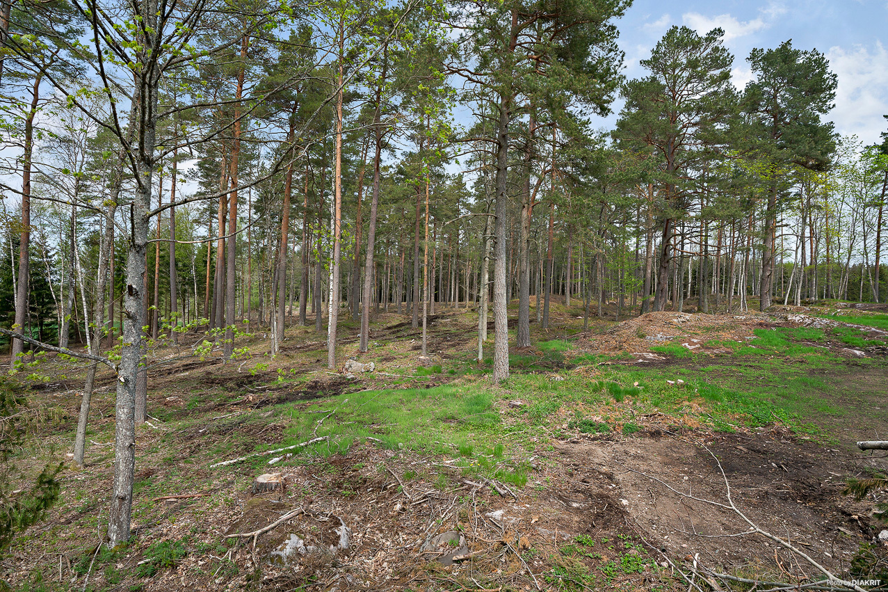 Särestad Skyttelid 1 – bild 7