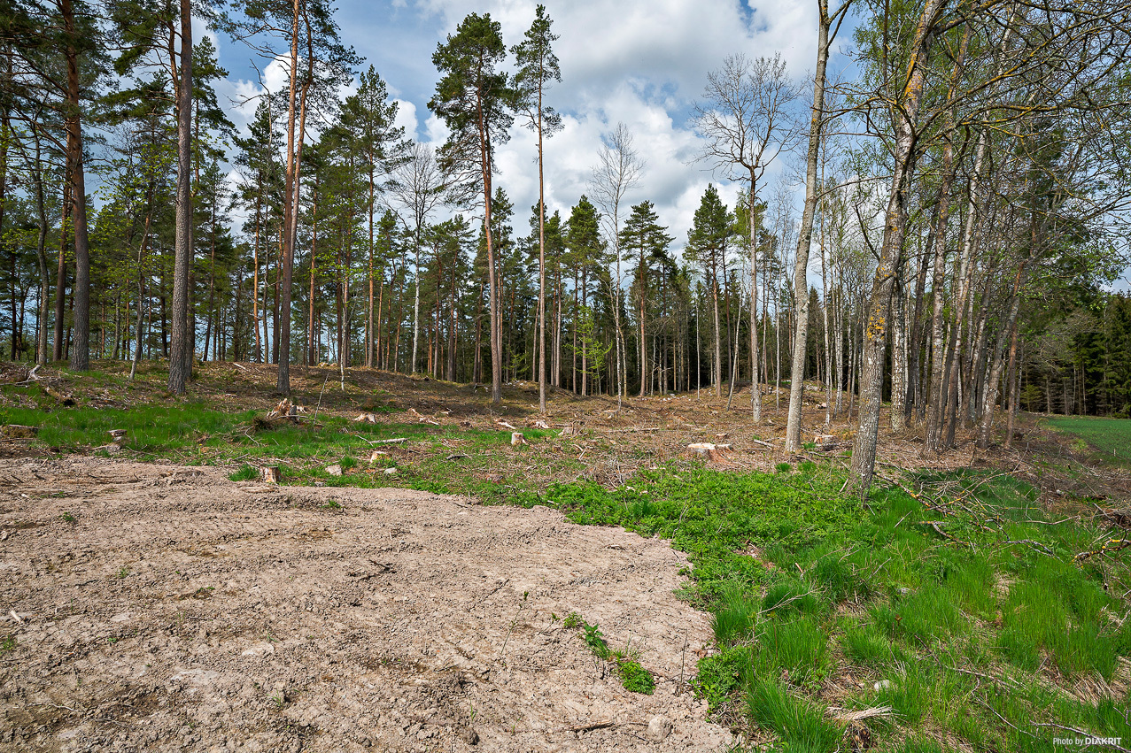Särestad Skyttelid 1 – bild 6