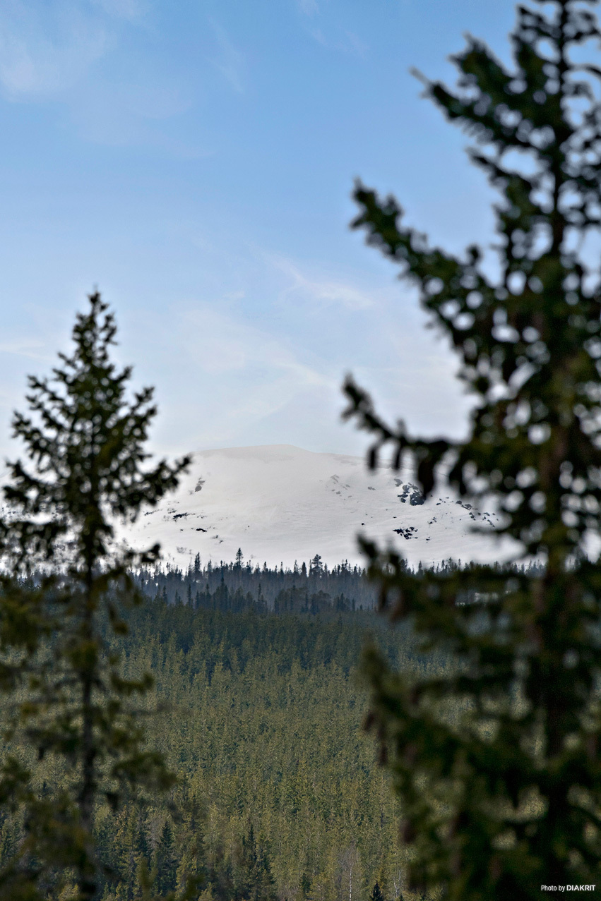 Fotingen 333 – bild 6