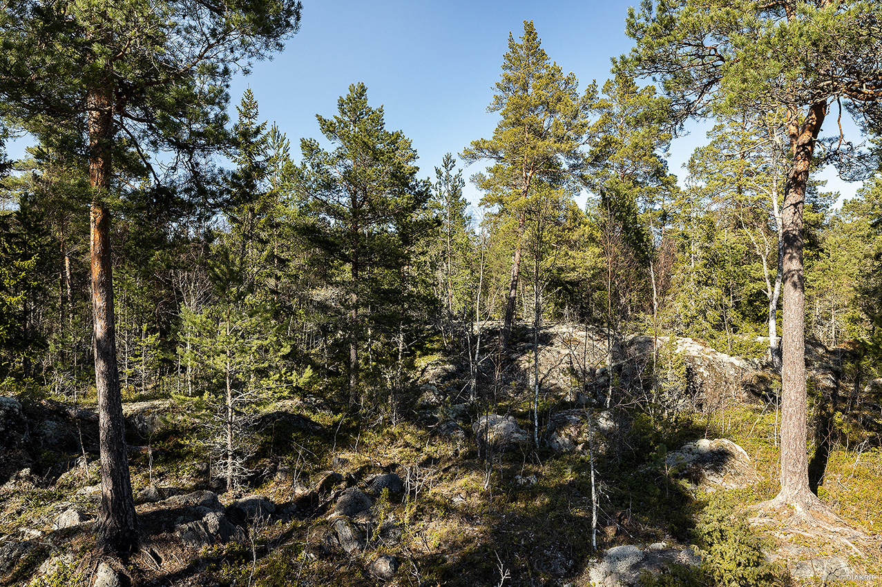 Östhammar Yttersby 2:59 – bild 6