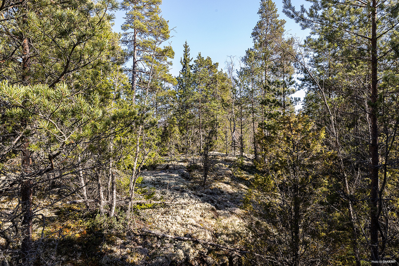 Östhammar Yttersby 2:59 – bild 8