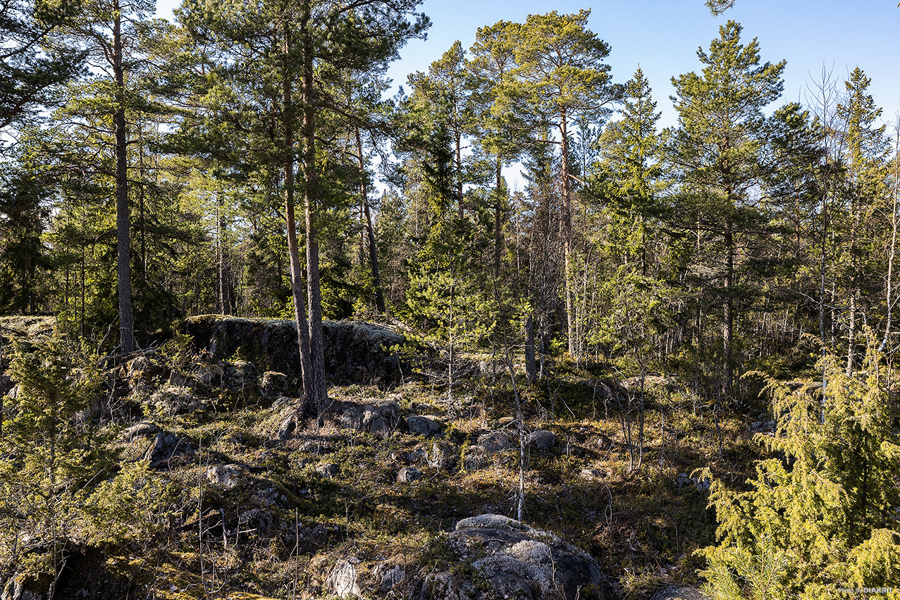 Östhammar Yttersby 2:59 – bild 4