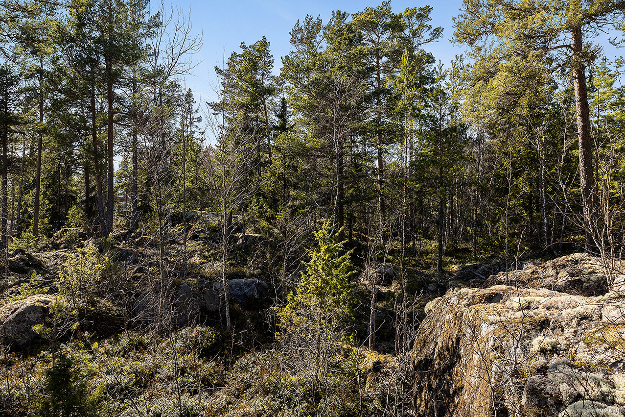 Östhammar Yttersby 2:59 – bild 3