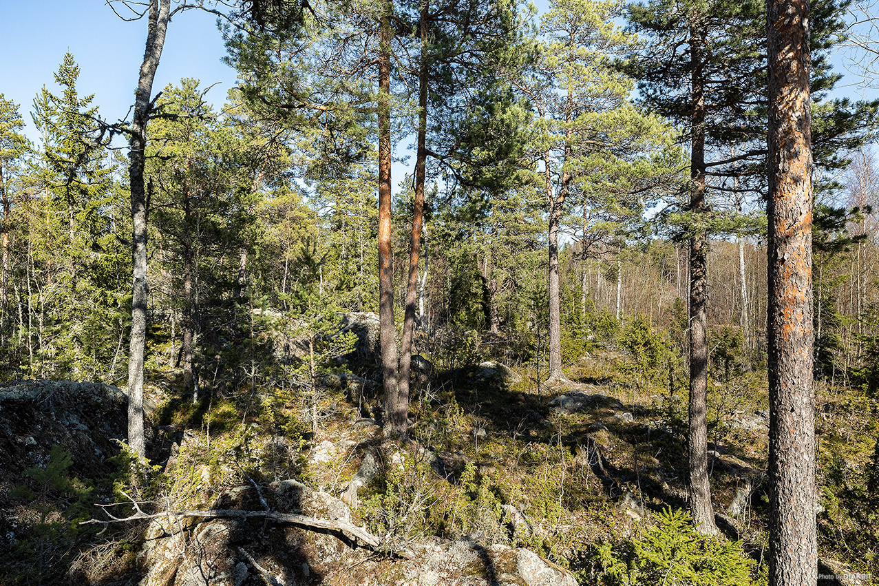 Östhammar Yttersby 2:59 – bild 7
