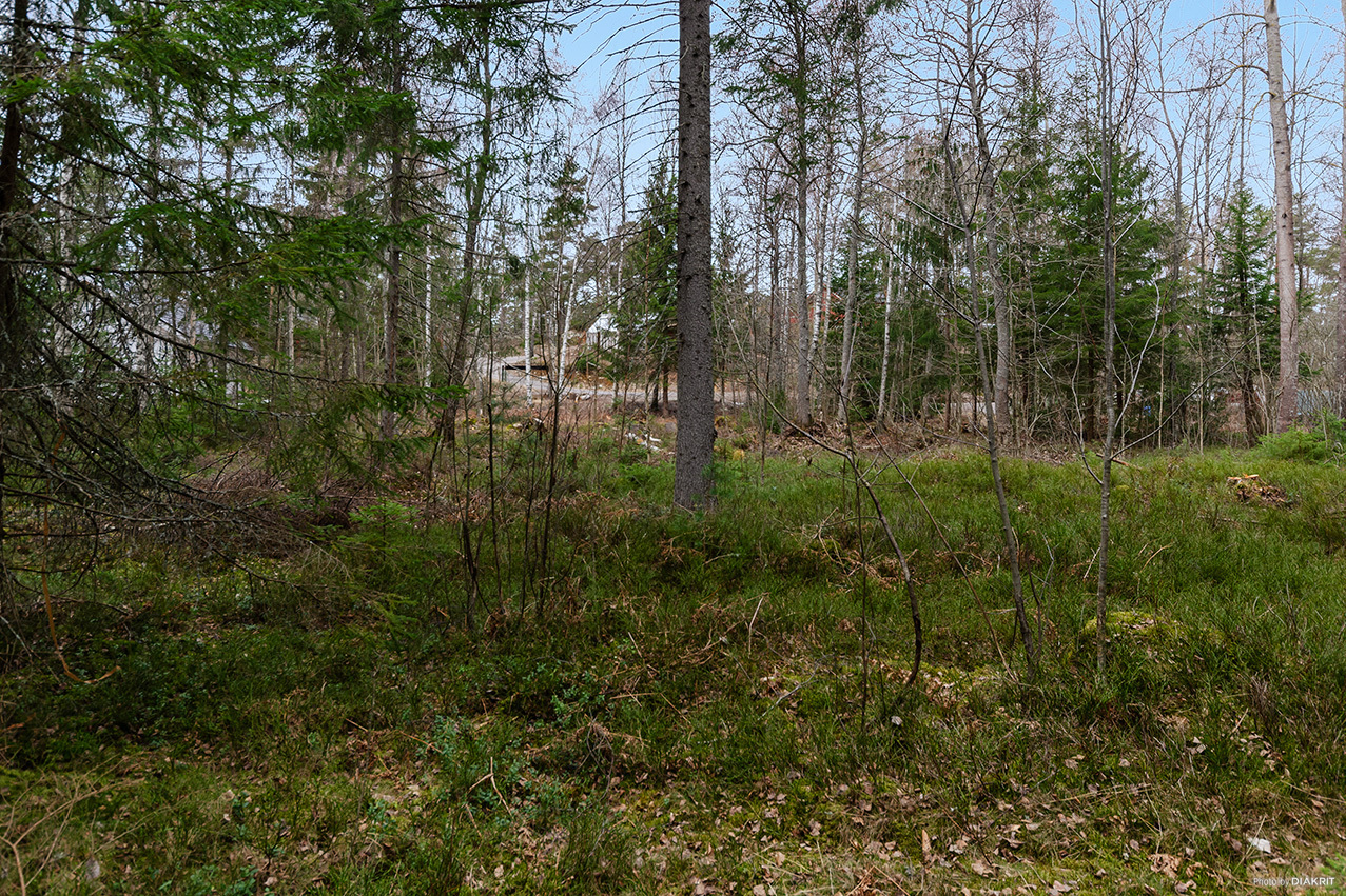 Ragnhildsborgsvägen 21 – bild 6