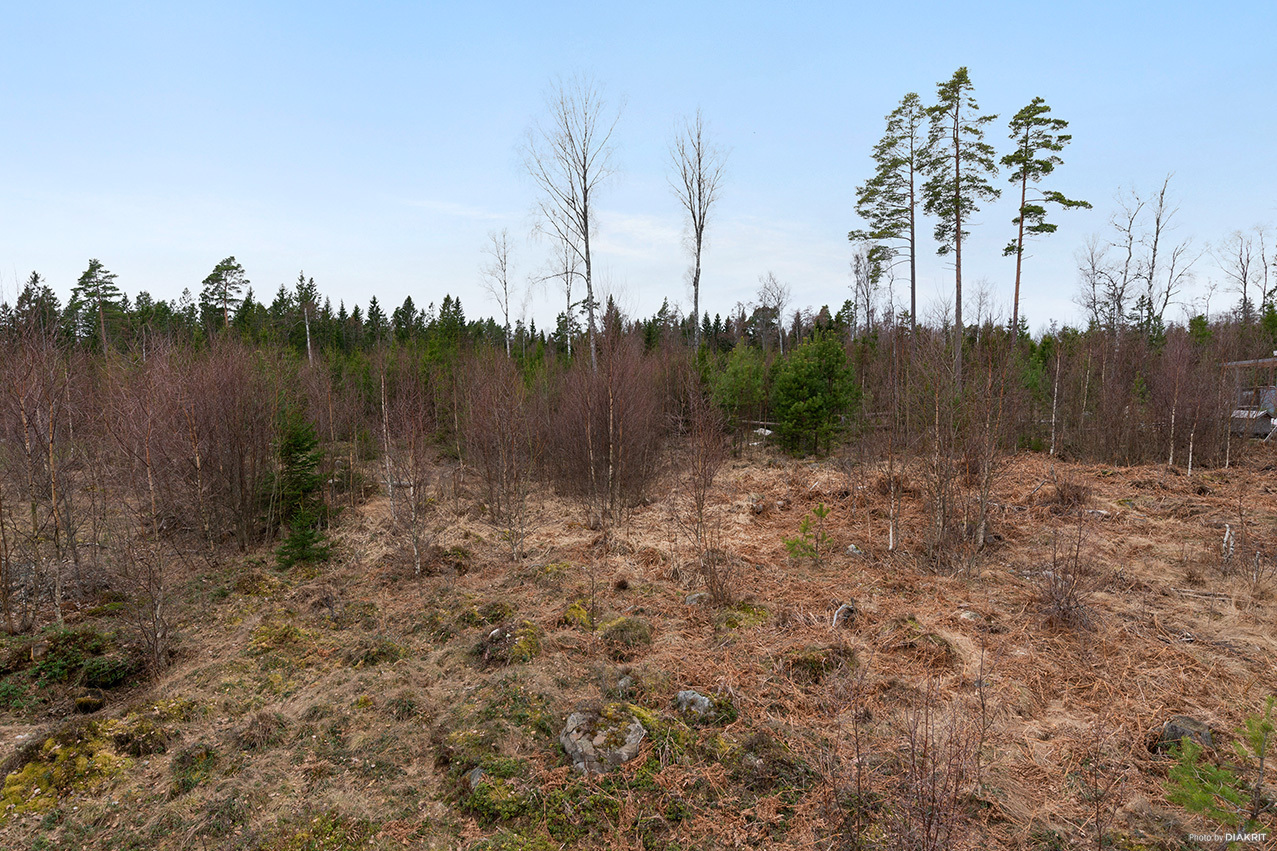 Roshöjden 16