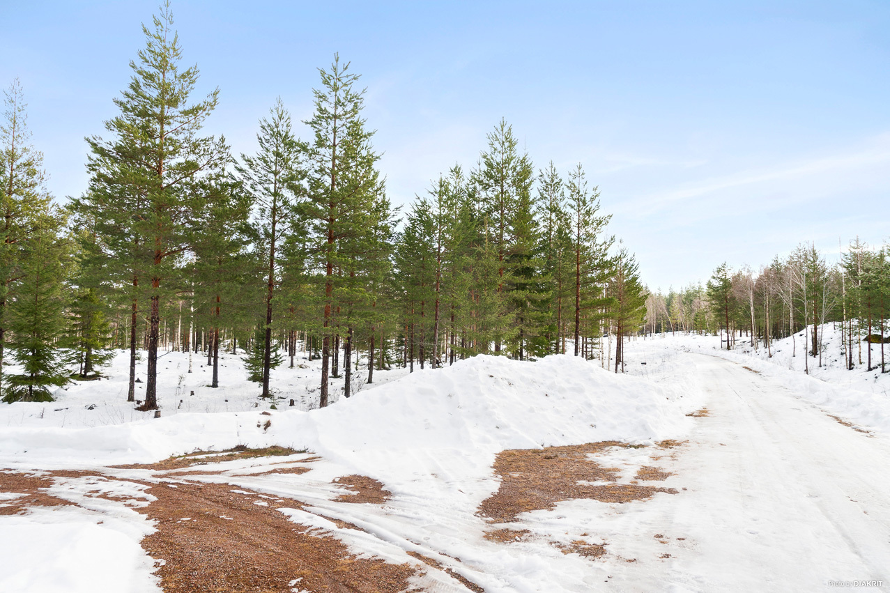 Rödluvevägen 92 – bild 4