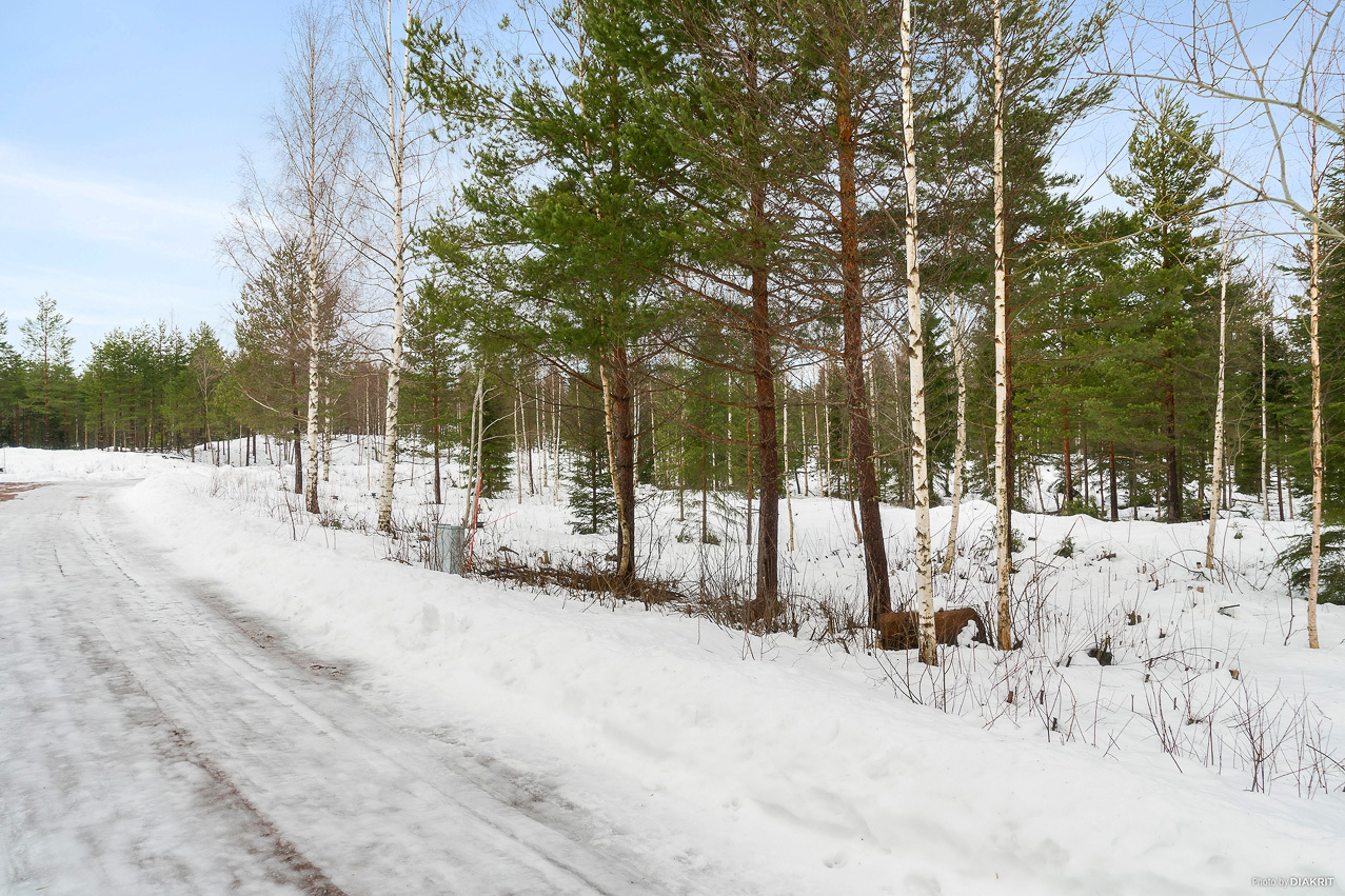 Rödluvevägen 92 – bild 6