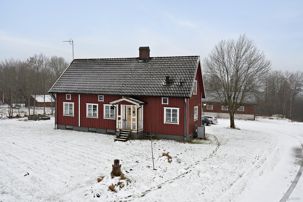 Hallaböke 7645