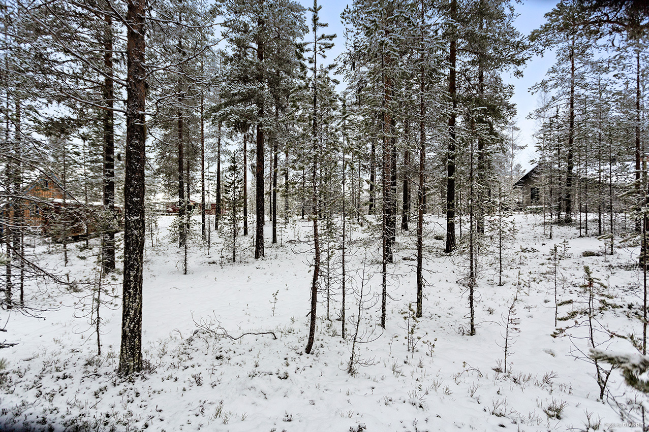 HEDEN 1:63 – bild 5