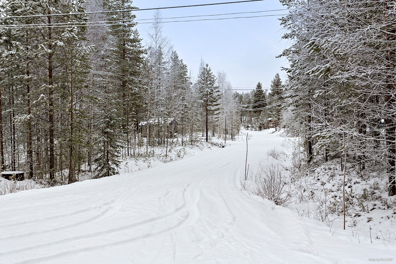 HEDEN 1:63 – bild 8