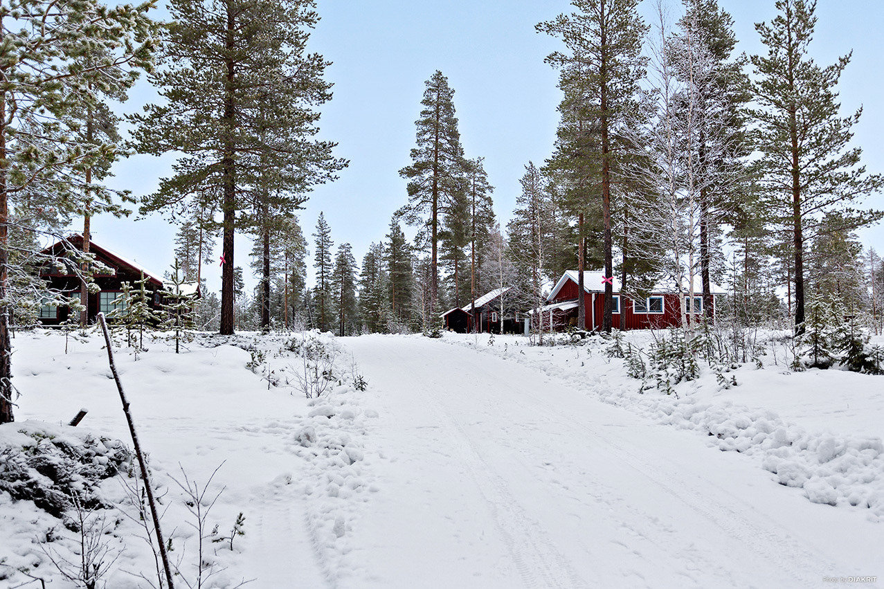 HEDEN 1:203 – bild 3