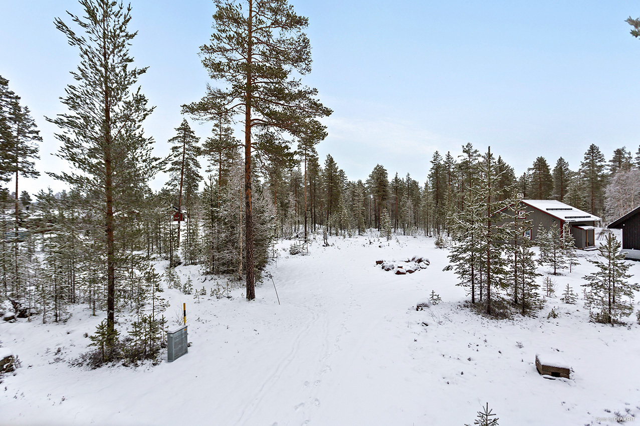 HEDEN 1:203 – bild 5