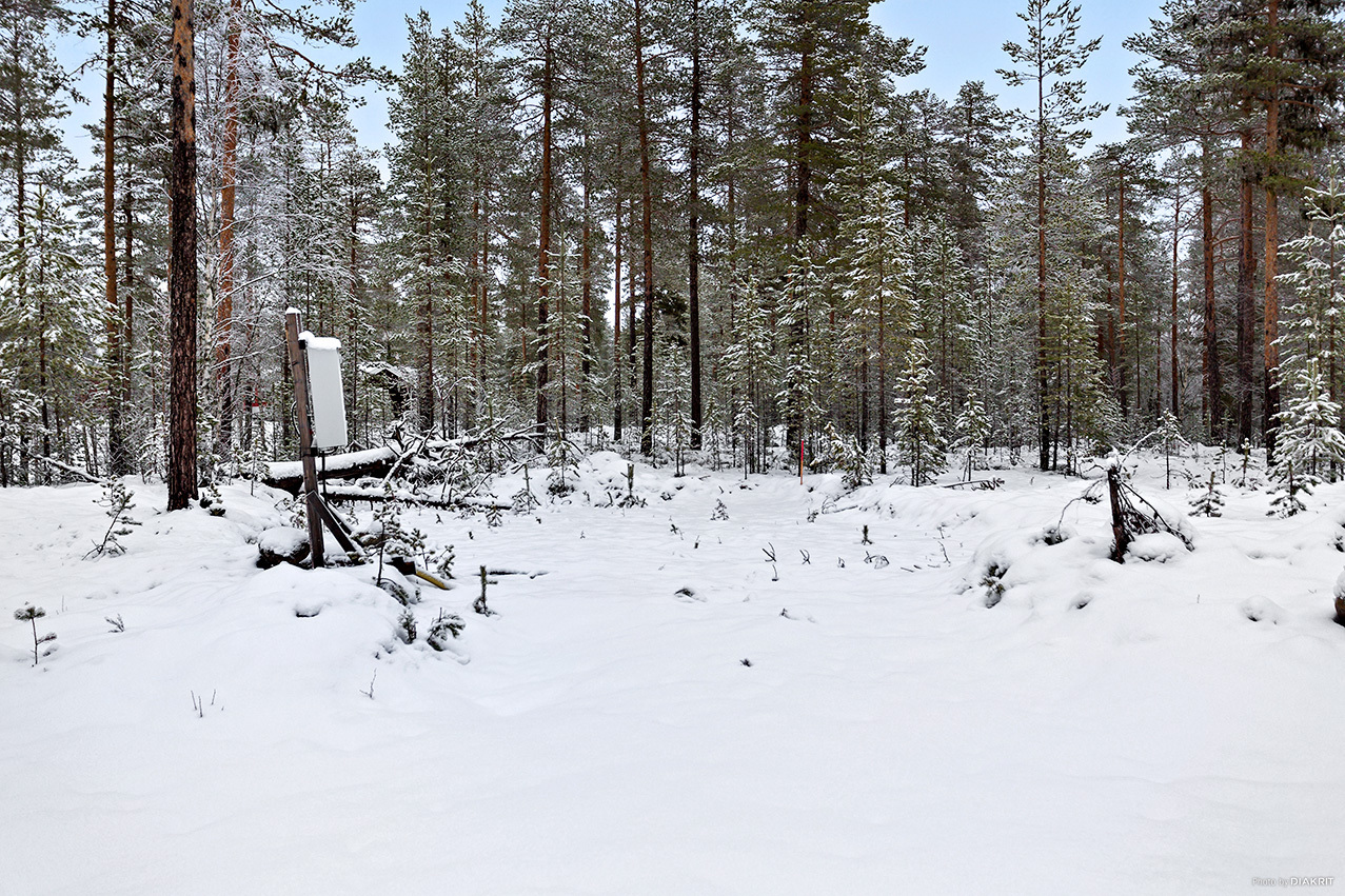 HEDEN 1:203 – bild 6