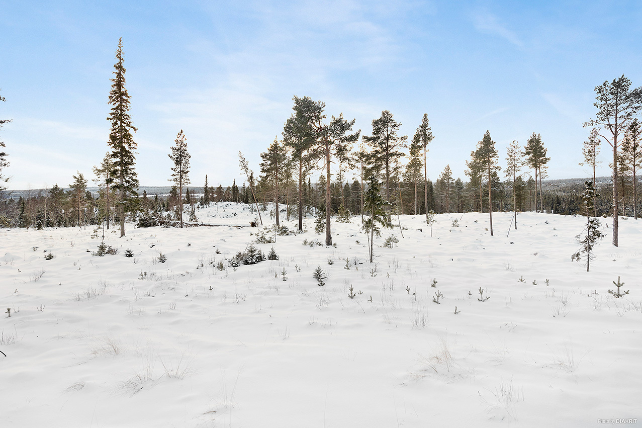 Vivallsvägen Tomt 1 – bild 8