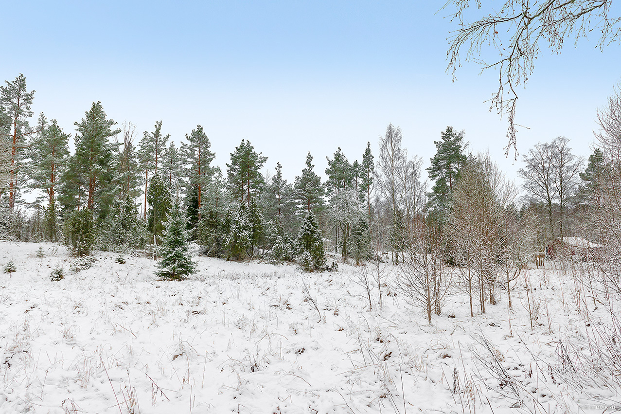 Vikensbergsvägen 23 – bild 4