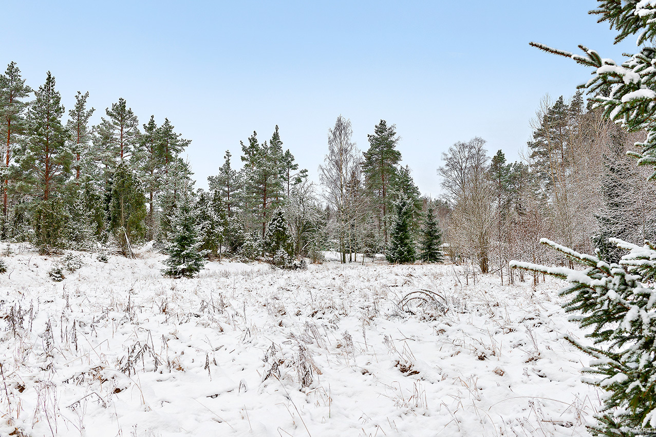 Vikensbergsvägen 23 – bild 3
