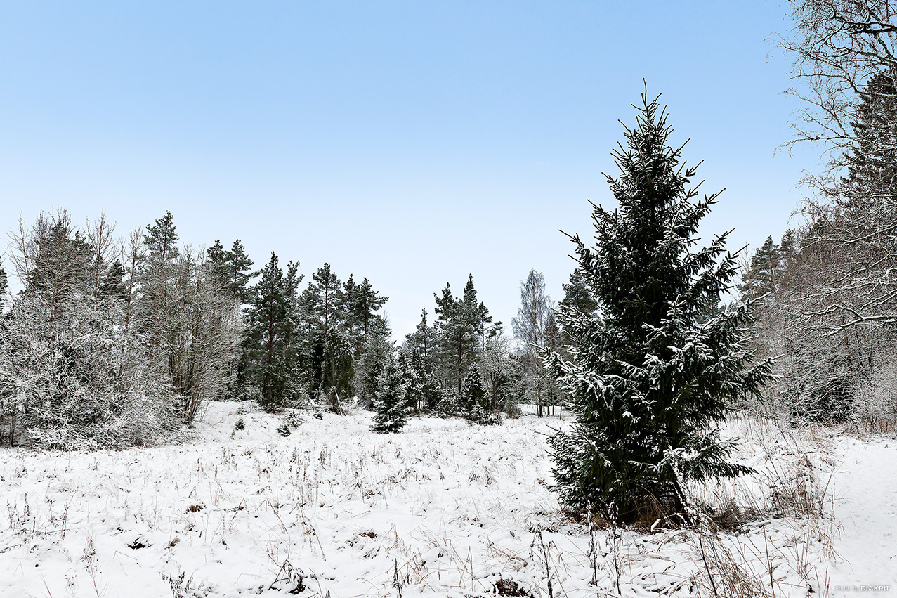 Vikensbergsvägen 23 – bild 5