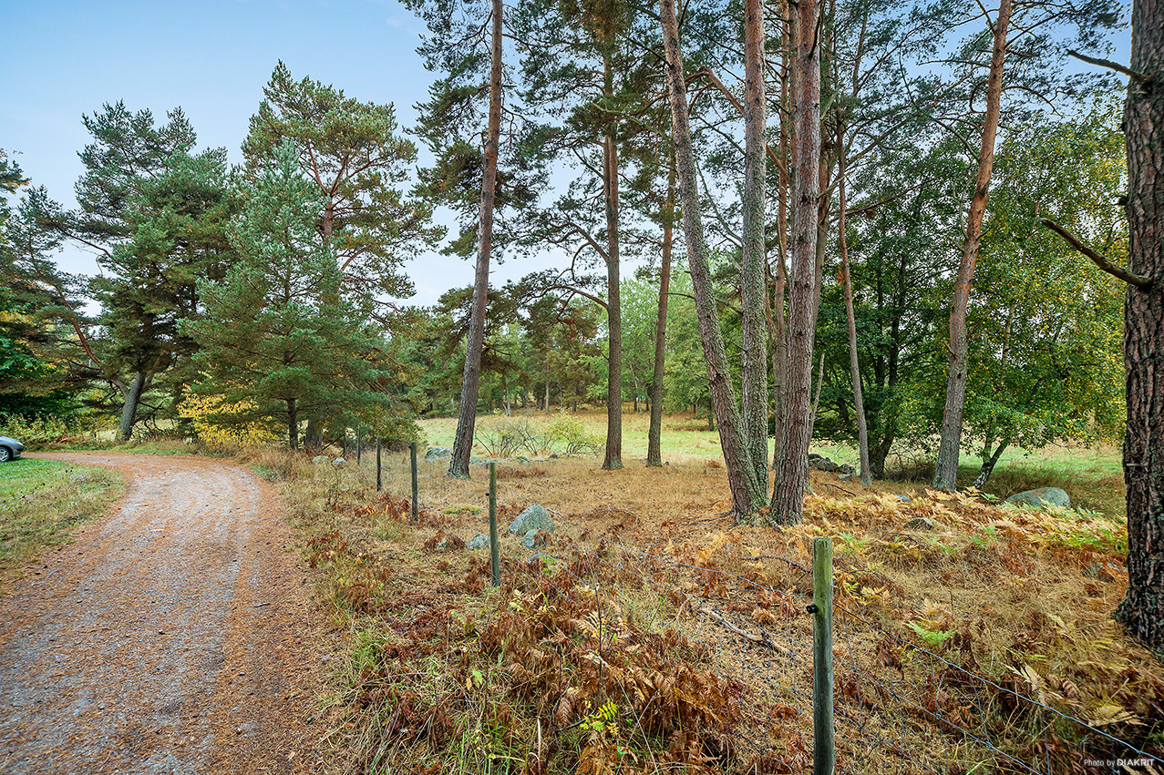 Solberga – bild 3