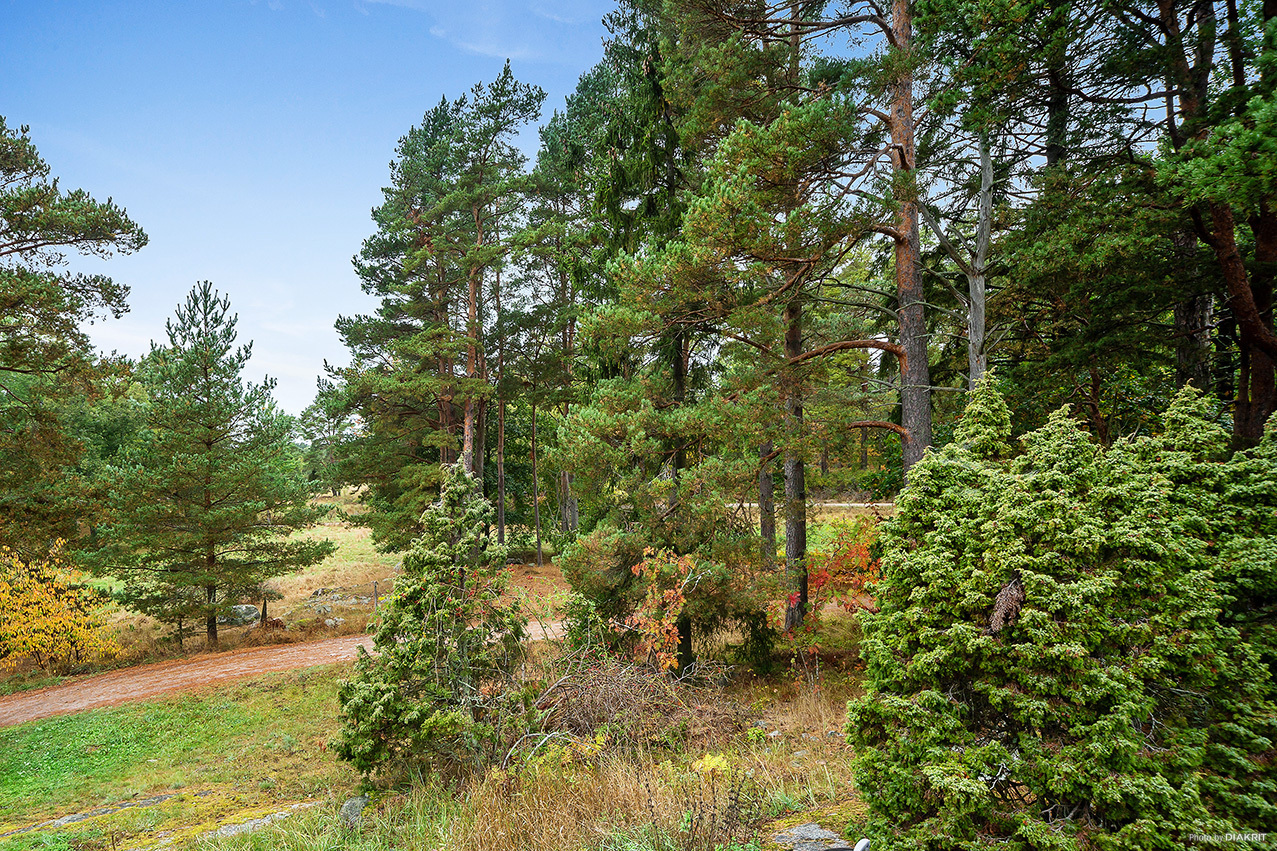 Solberga – bild 4