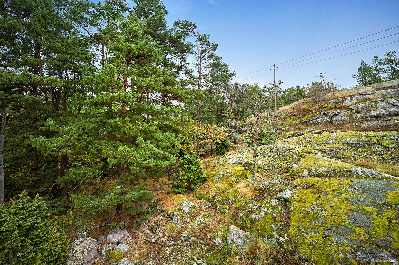 Solberga – bild 7
