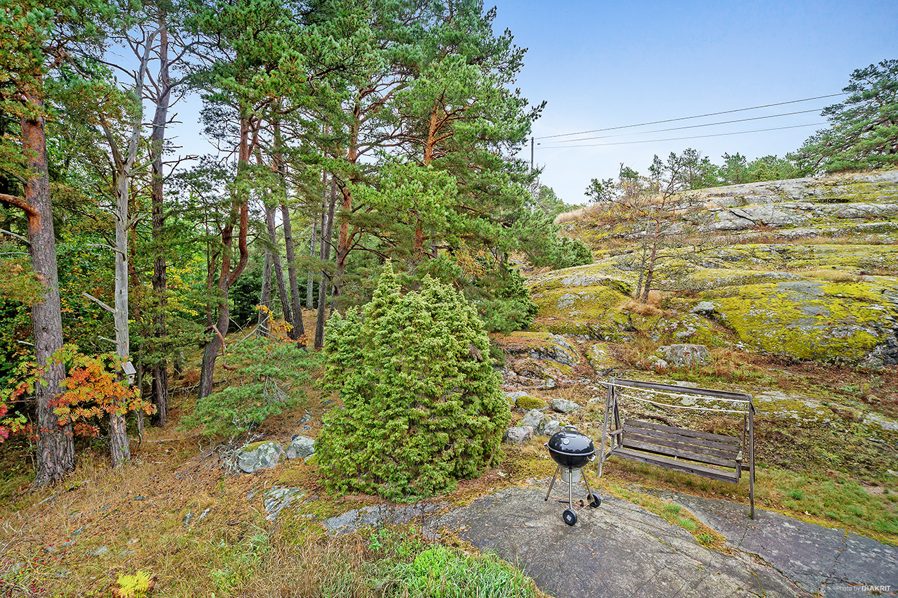Solberga – bild 8