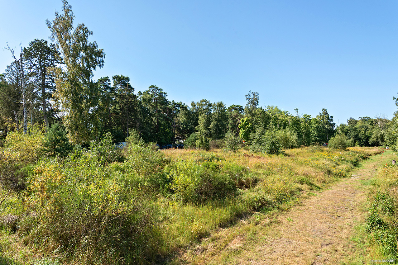 Dybäck 42:97 – bild 3