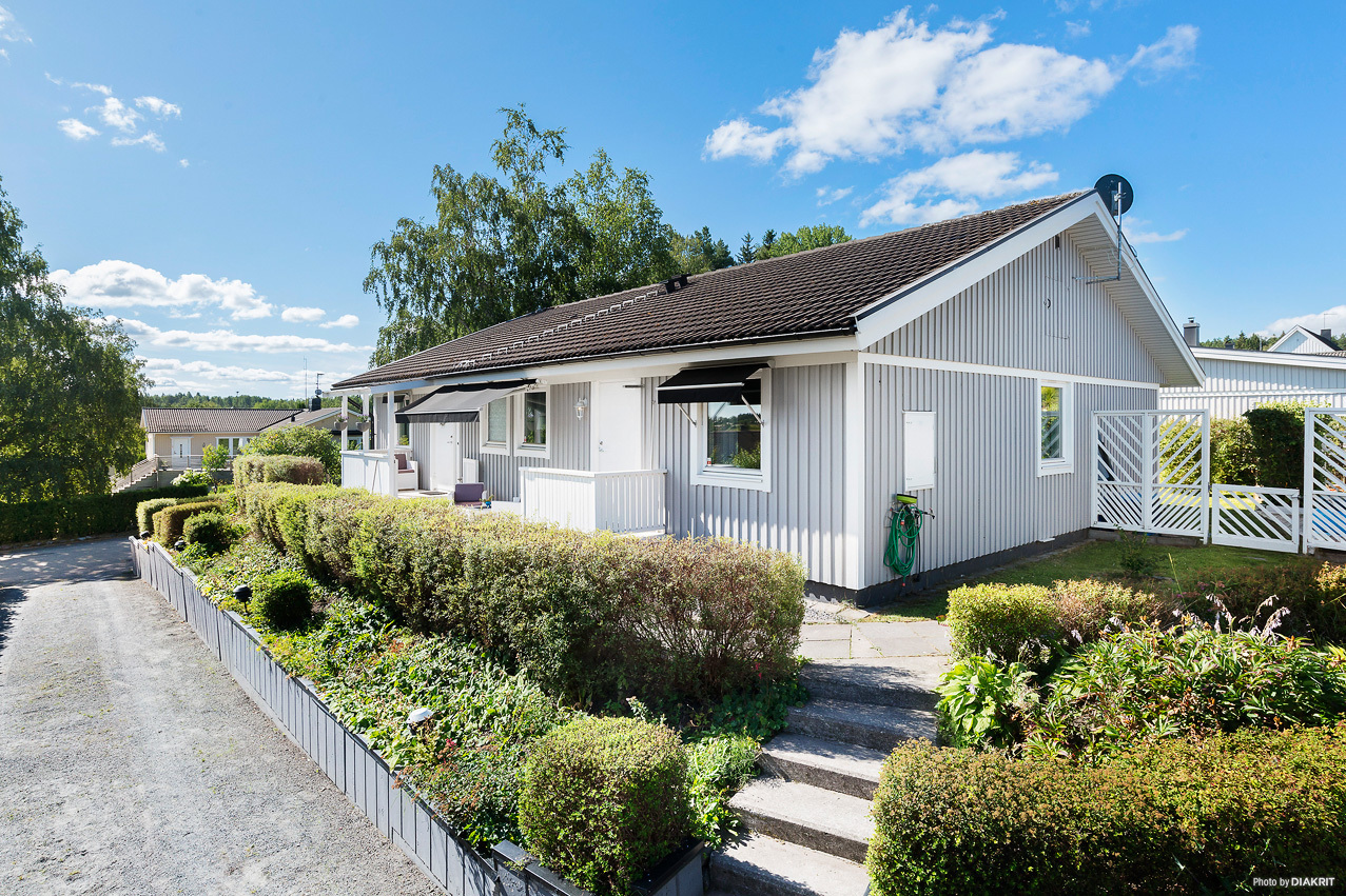 Dianastigen 16