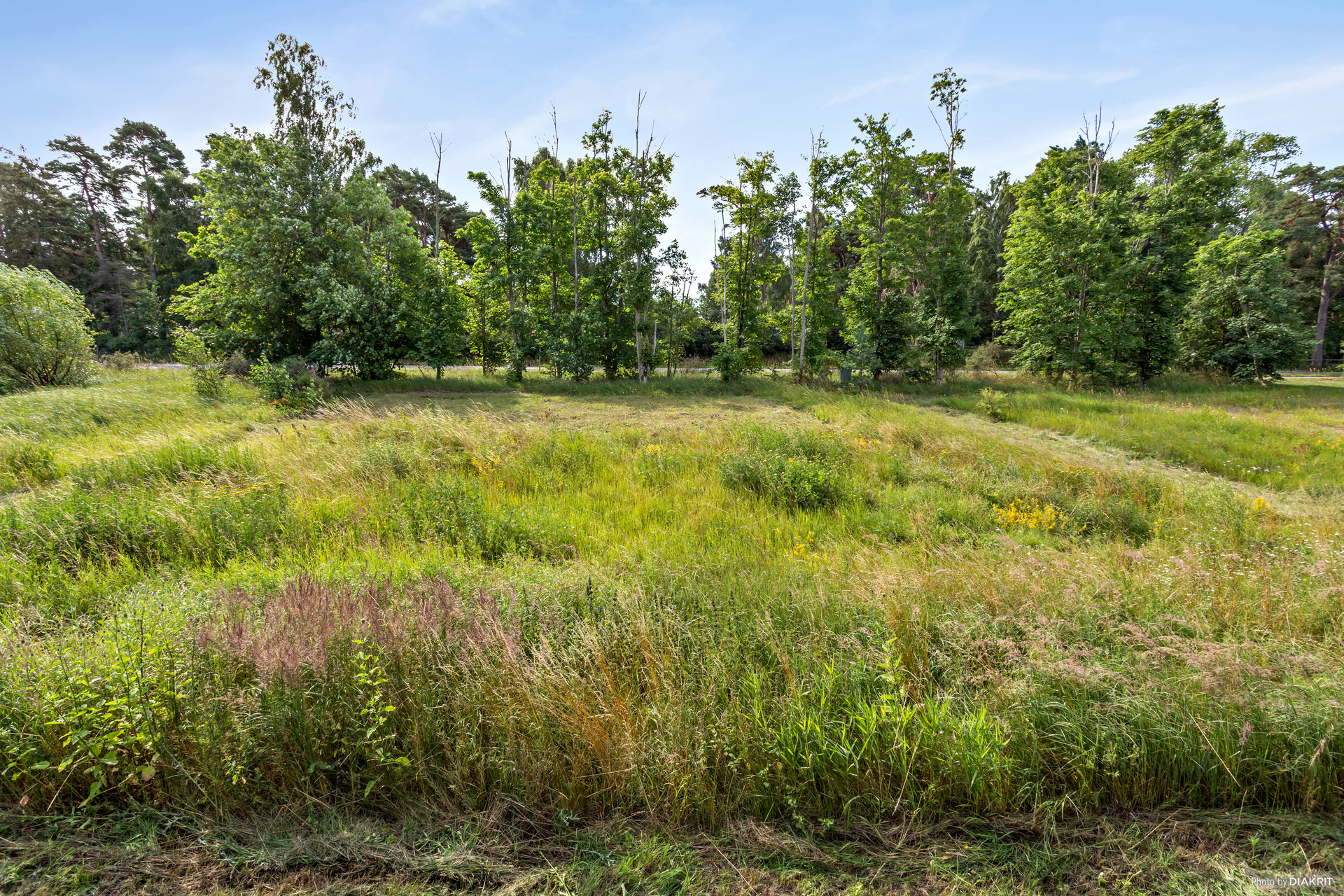 DYBÄCK 42:70 – bild 4