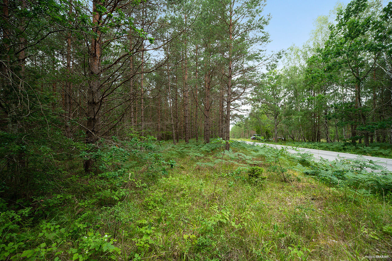 EKSTA HÄGUR 1:20 – bild 6