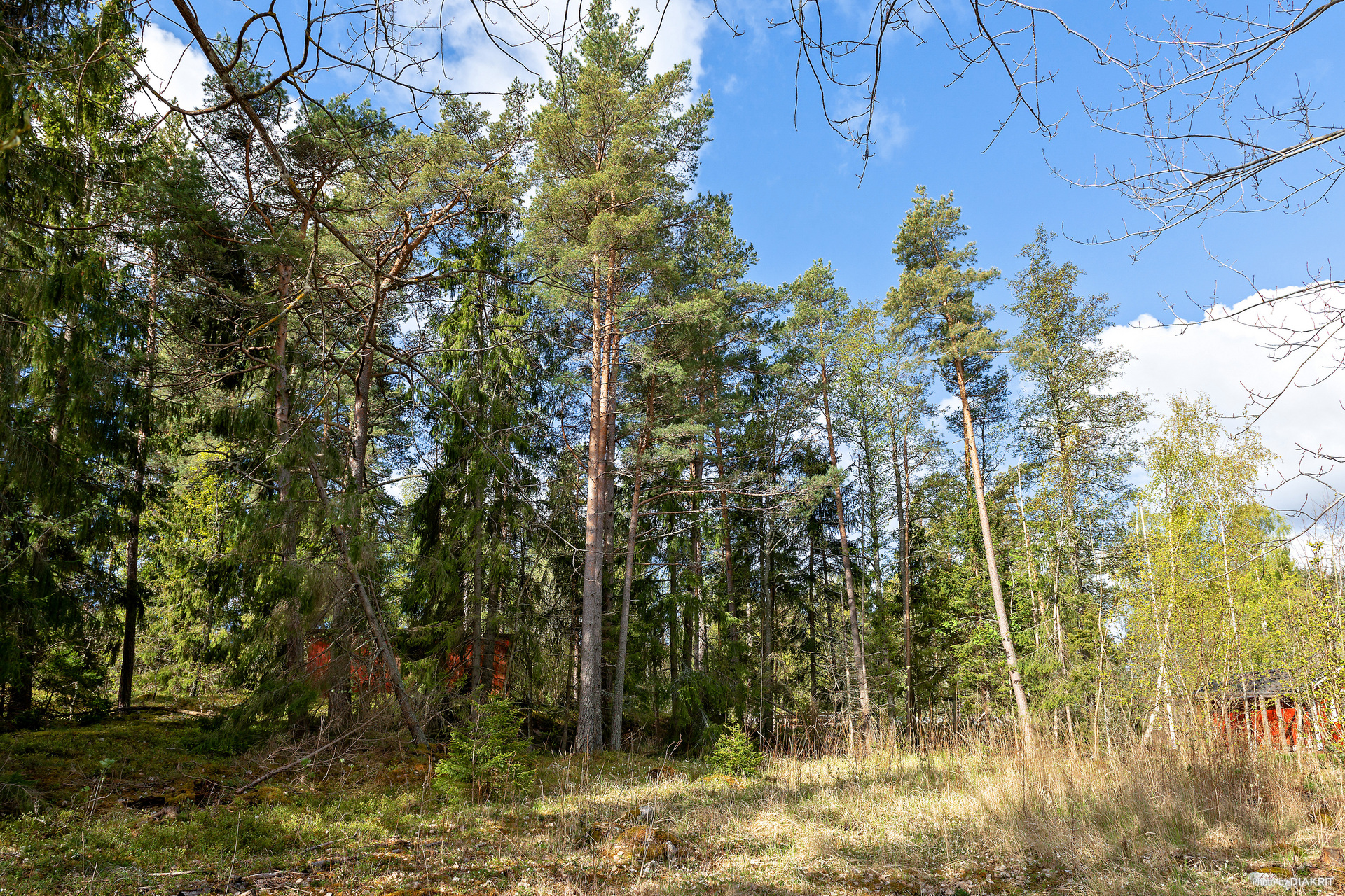 Östra Sundviksvägen 5 B – bild 7
