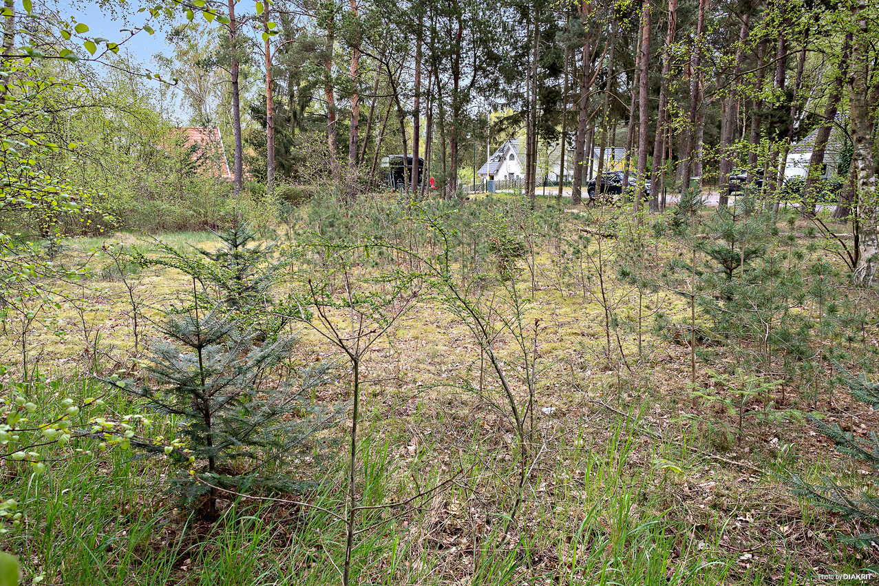Ängsvägen 3 – bild 7