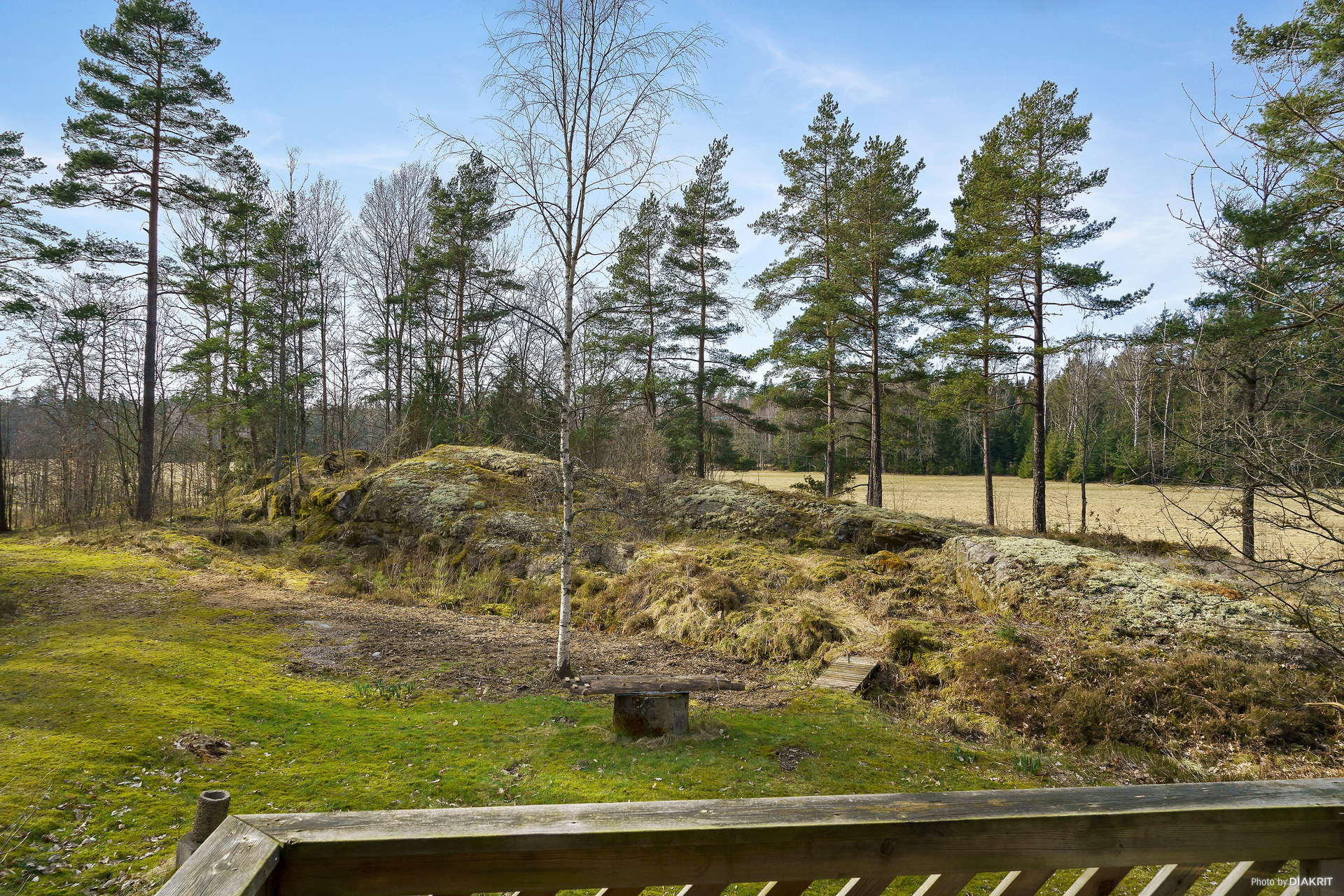 Tranebo Lärkebo – bild 5