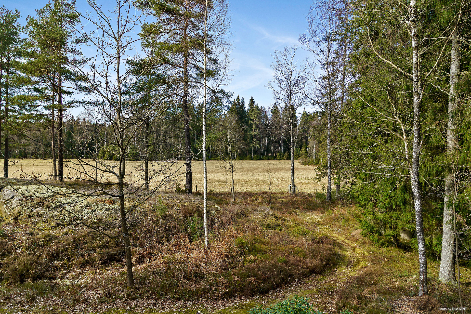 Tranebo Lärkebo – bild 4