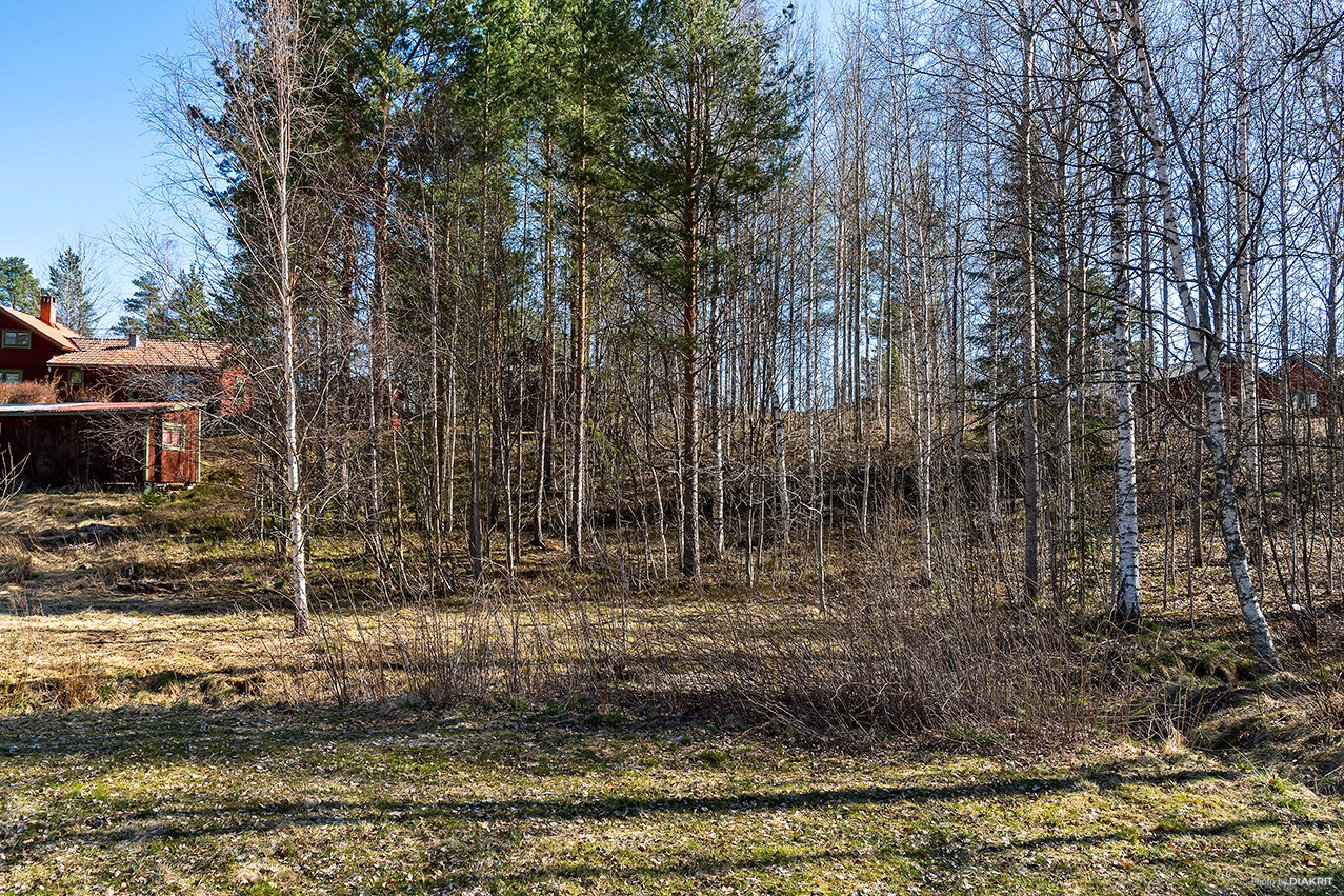 Hållnäsvägen – bild 5