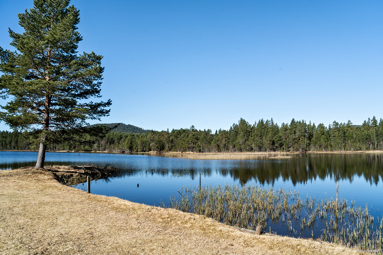 Mångberg 47 – bild 8